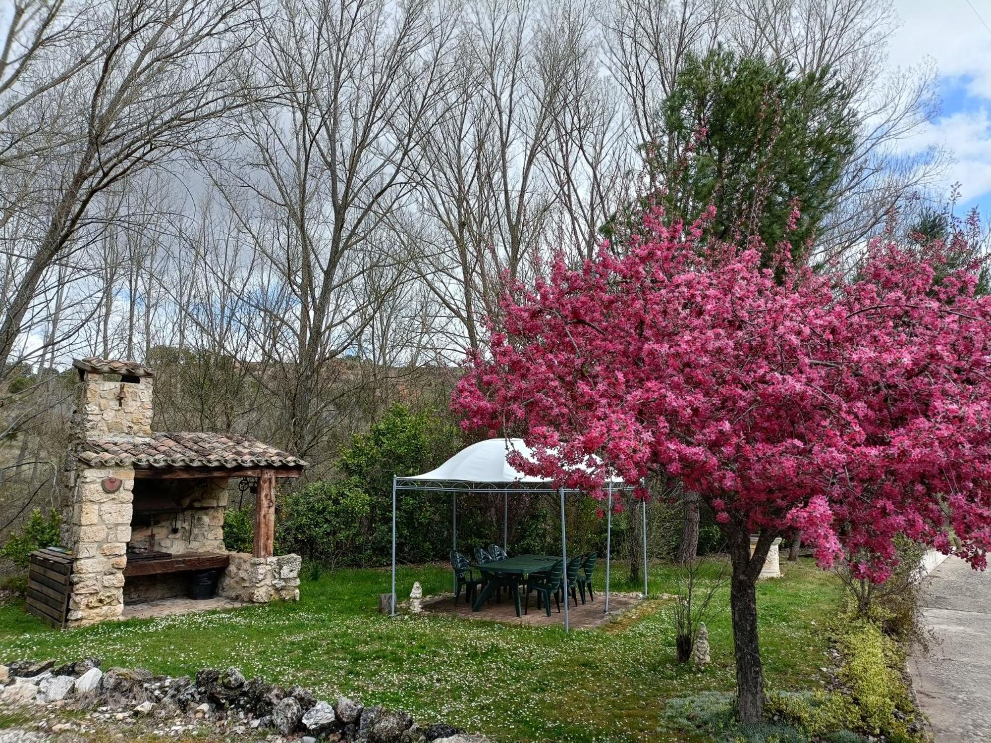 Finca Paraiso Rural เอลบูร์โก เด ออสมา ภายนอก รูปภาพ