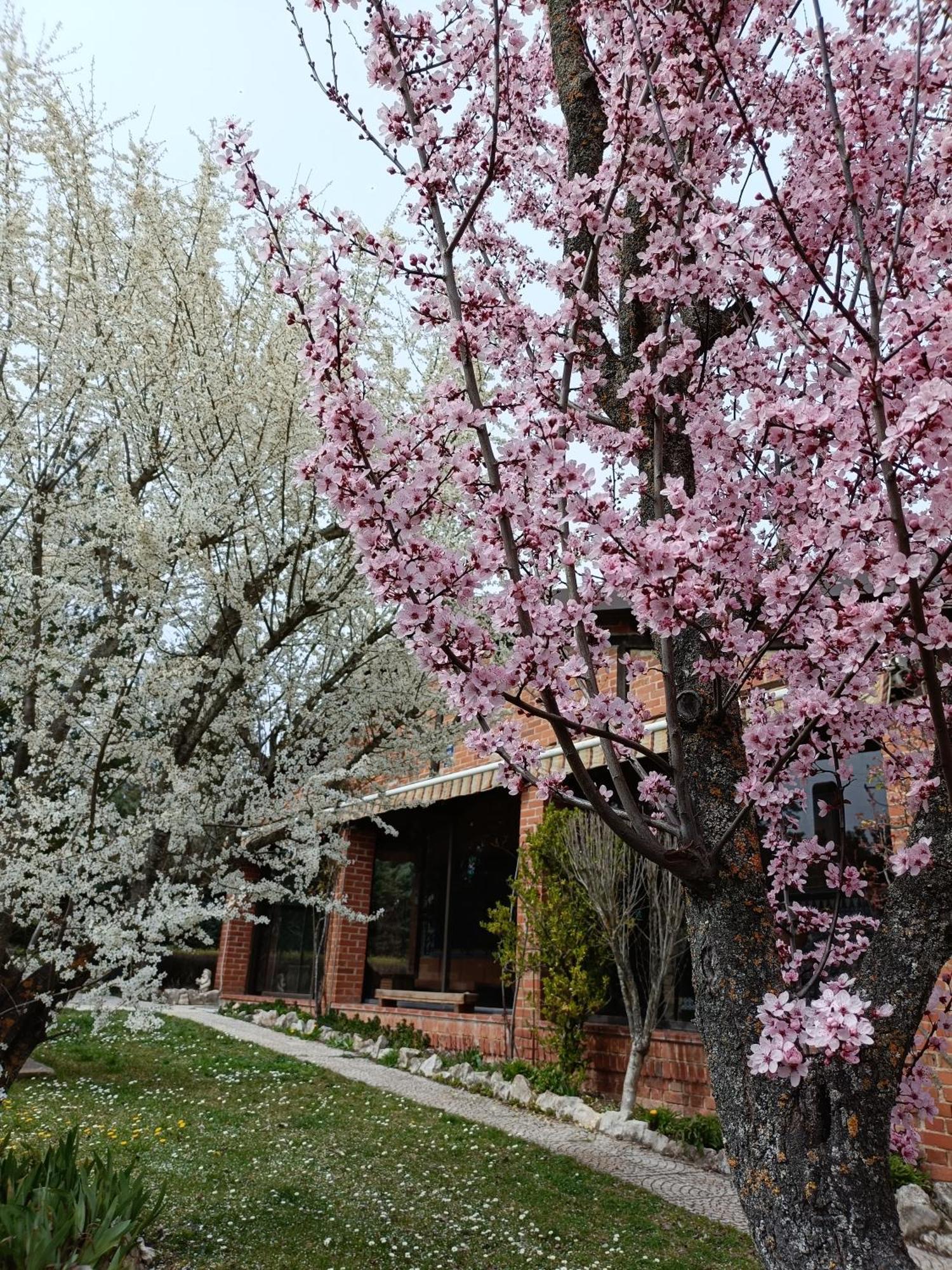 Finca Paraiso Rural เอลบูร์โก เด ออสมา ห้อง รูปภาพ